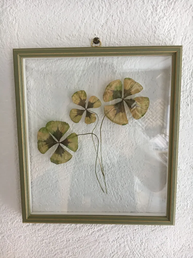 encadrement sous-verre à Aubagne