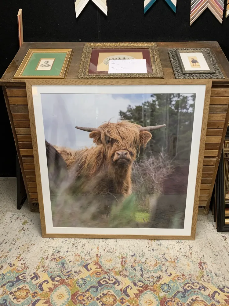 encadrement photo (7)