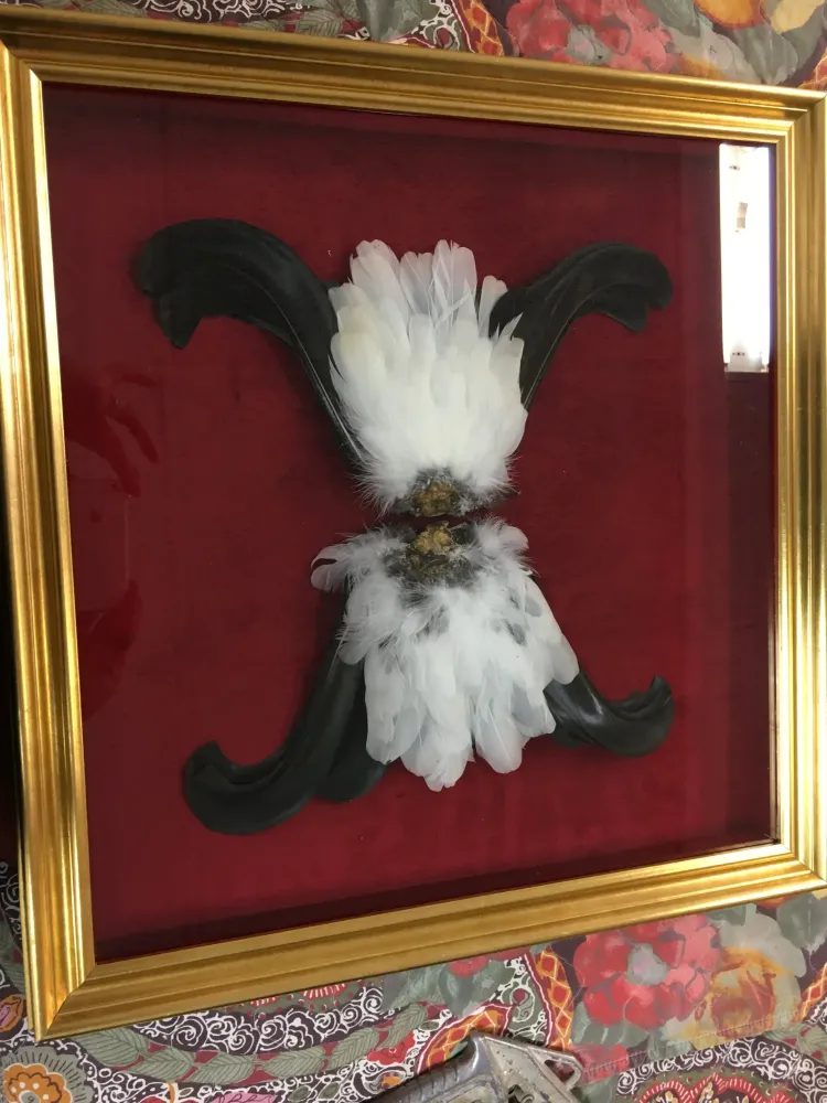 commande spéciale d encadrement (2)webp